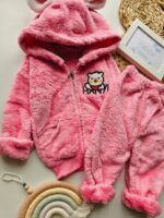 ۰۱۰۴_تدی پشمالو۲ - Image 3