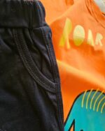 ۰۲۴۶_ست دایناسور - Image 7