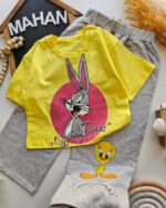 ۰۲۸۷_ست بانی خرگوشه