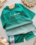 ۰۲۹۳_ست خرس های نمکی