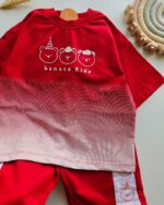 ۰۲۹۳_ست خرس های نمکی - Image 5