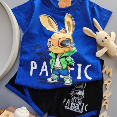 ۰۴۱۹_ست خرگوش عینکی