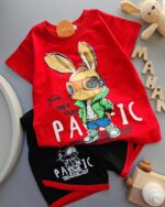 ۰۴۱۹_ست خرگوش عینکی - Image 2