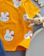 ۰۴۲۰_ست خرگوش سفید - Image 4