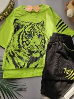 ۰۴۳۶_ست تایگر - Image 2