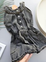 ۰۴۶۳_اورال جین زغالی