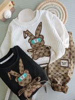 ۰۵۴۴_ست خرگوش بربری وارداتی