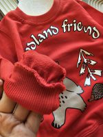 ۰۵۸۱_ست خرس جنگل - Image 7