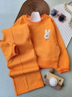 ۰۶۰۱_ست خرگوش کیمونو