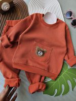 ۰۶۱۰_بیسکوییتی تدی