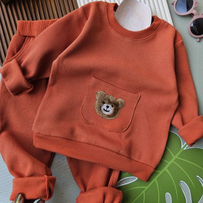 ۰۶۱۰_بیسکوییتی تدی