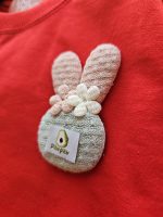 ۰۶۸۸_خرگوش پاپییون - Image 5