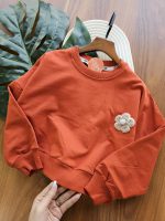 ۰۸۳۱_کراپ تک بابونه - Image 3