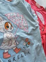 ۰۸۳۸_خرگوش چتری - Image 4