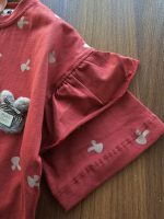 ۰۹۵۲_پاپیون شورتی - Image 5