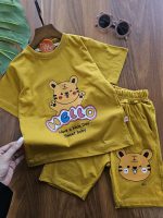 ۰۹۵۷_ست ببری رنگی - Image 3