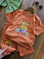 ۰۹۵۷_ست ببری رنگی - Image 5