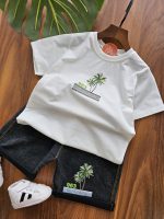 ۰۹۸۳_ست نخل - Image 4