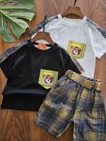 ۰۱۰۴۳_تیشرت شلوارک چهارخونه - Image 5