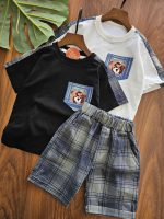 ۰۱۰۴۳_تیشرت شلوارک چهارخونه - Image 3