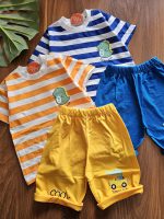 ۰۱۰۸۰_راه راه دینو - Image 2