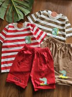 ۰۱۰۸۰_راه راه دینو