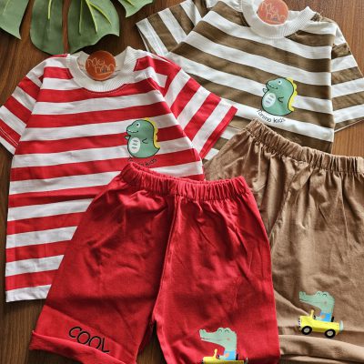 ۰۱۰۸۰_راه راه دینو