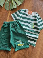 ۰۱۰۸۰_راه راه دینو - Image 5