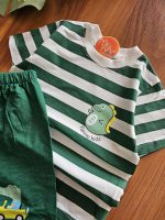 ۰۱۰۸۰_راه راه دینو - Image 6