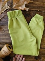 ست دایناسور قلاده دار - Image 10