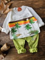 ست نخل اقتصادی ۳۵/۴۰