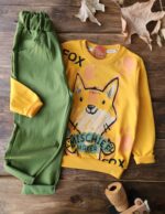 ست روباه اقتصادی 45/50