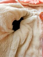 کد514کااپشن - Image 3