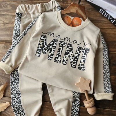 ست اقتصادی مینی