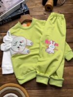 خرگوش بغل سفید - Image 2