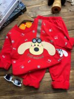 هاپوگوش دراز۳۵تا۴۵ - Image 5